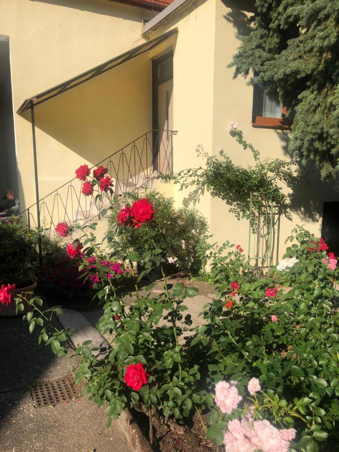 Das Kleine Haus Breitenbrunn  Exterior foto